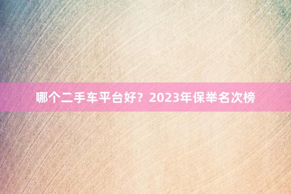 哪个二手车平台好?2023年保举名次榜